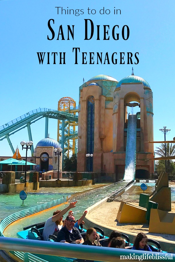 Families visiting san diego, ca, with teenagers in tow will have no problem unplugging them for a bit to enjoy outdoor activities and even a little edutainment. 9 Fun Things to Do in San Diego with Teens Making Life Blissful