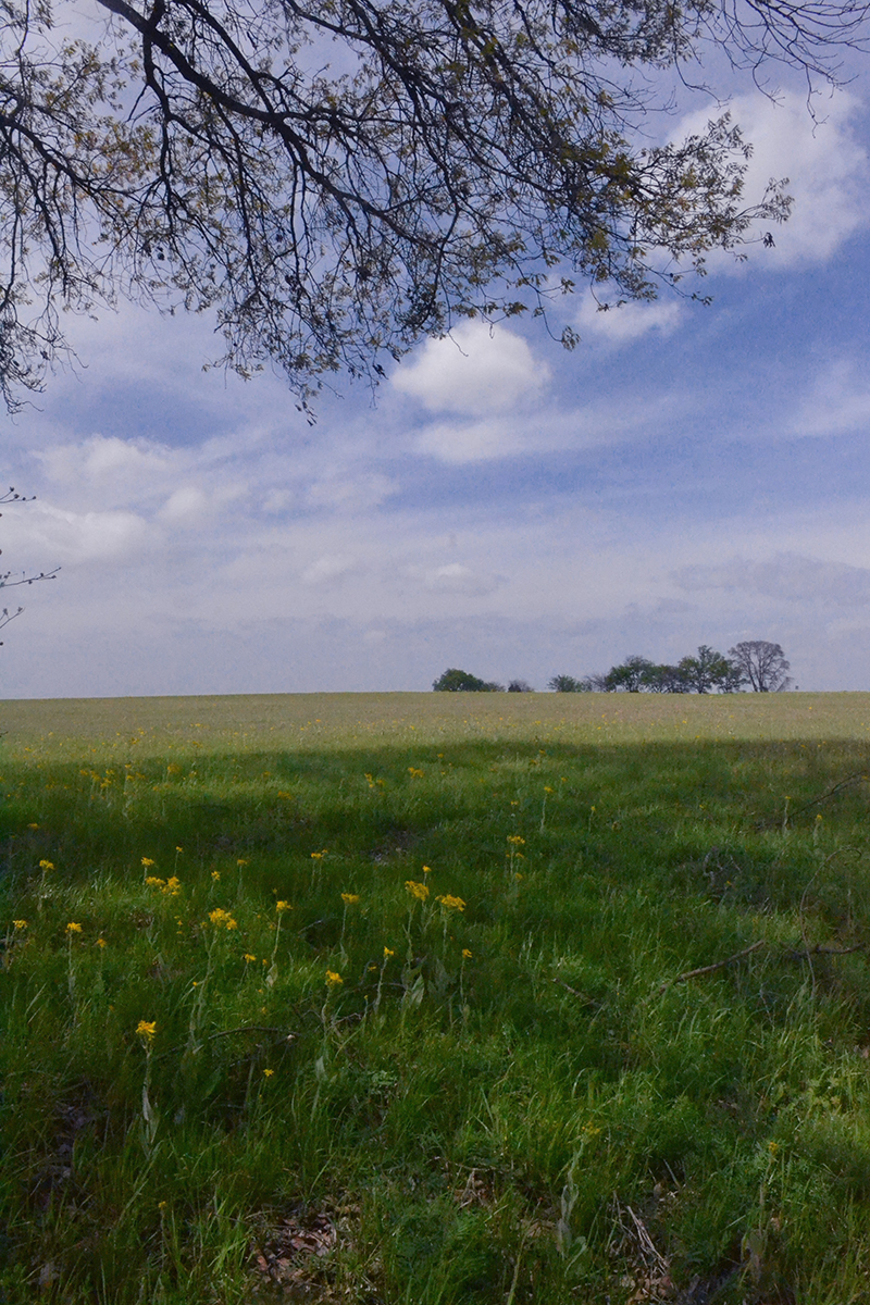 Canton's very own interactive zoo! Freedom_to roam_roadtrip. East Texas Zoo & Gator Park An Wonderful