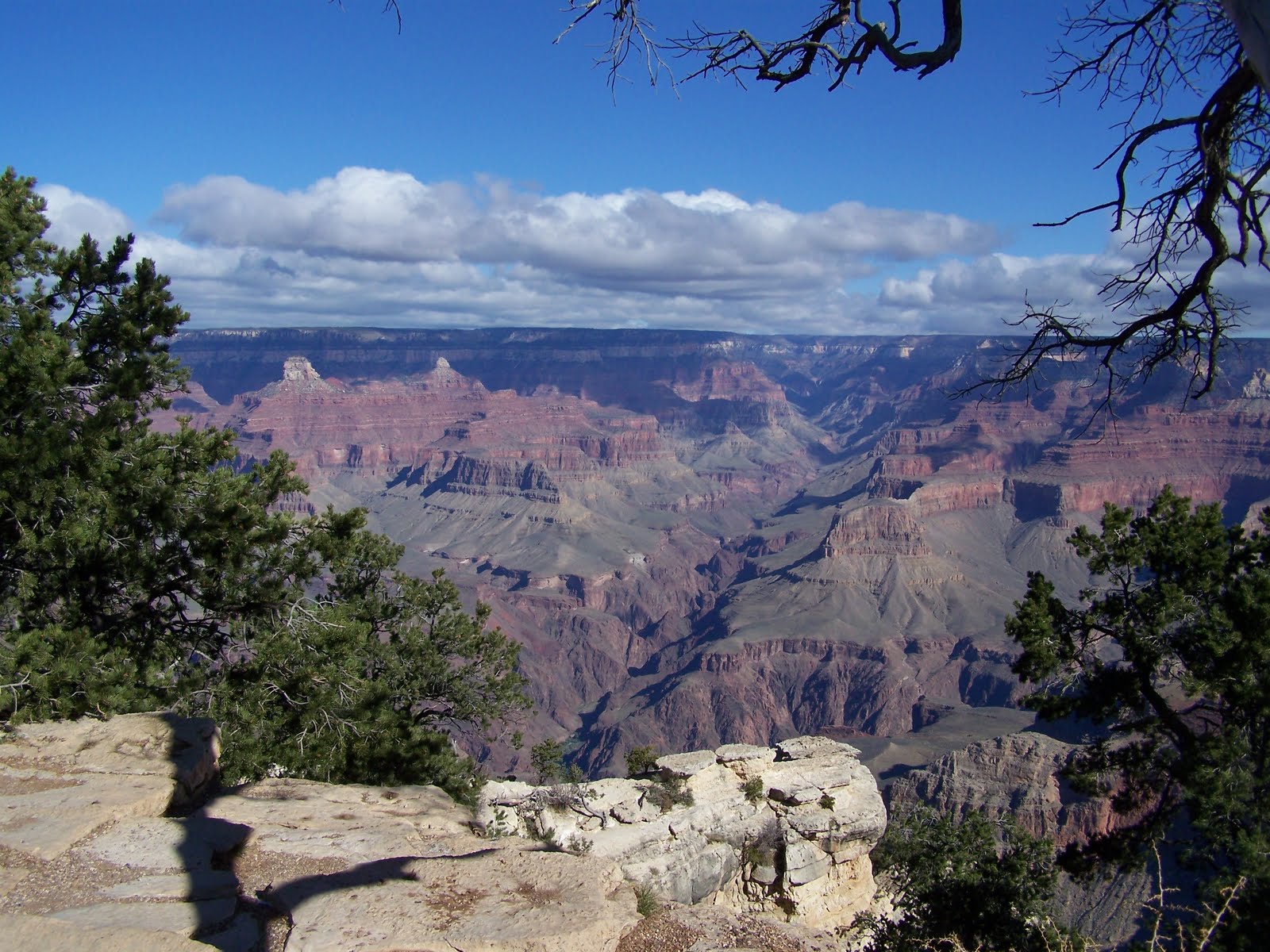 Up to Speed Grand Canyon Rim Trail Hike