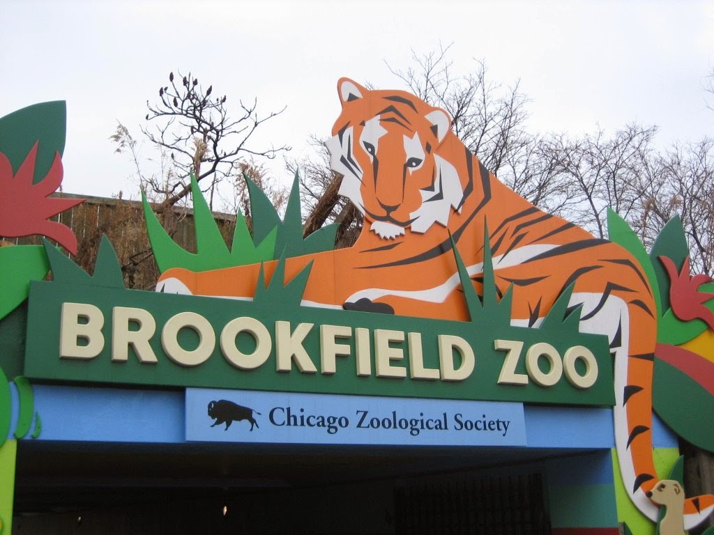 Web do you want to know the entry ticket price for brookfield zoo? Ability Chicago Info Blog Brookfield Zoo gets 1M funding to develop