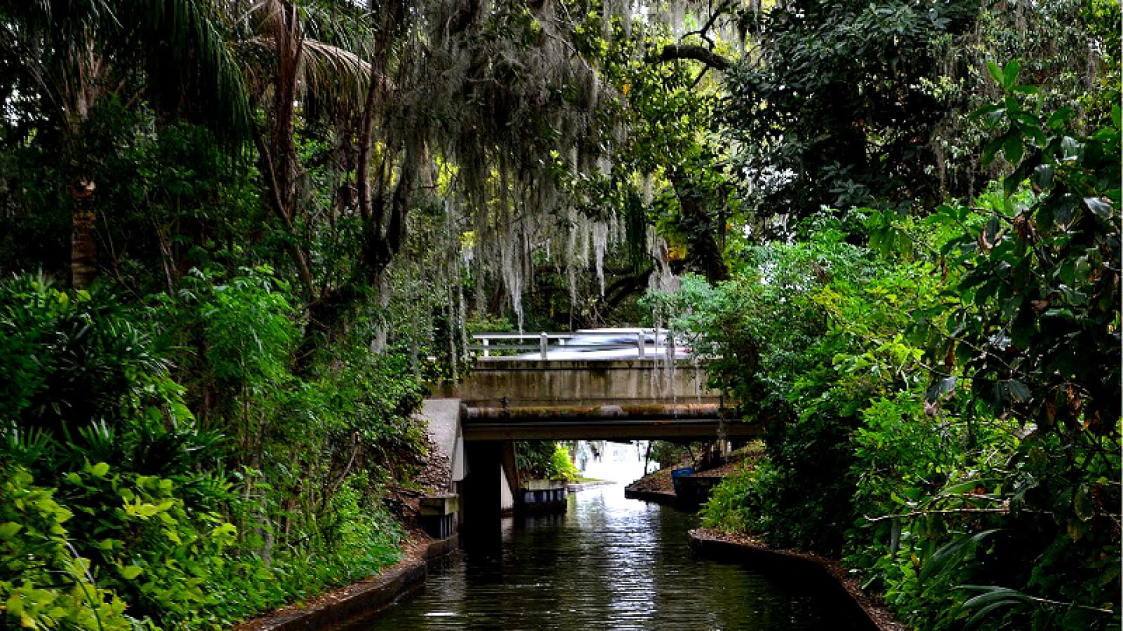 Wekiwa springs state park is a bit of a secret local spot for orlando residents. Things To Do In Orlando Not Theme Parks Theme Choices