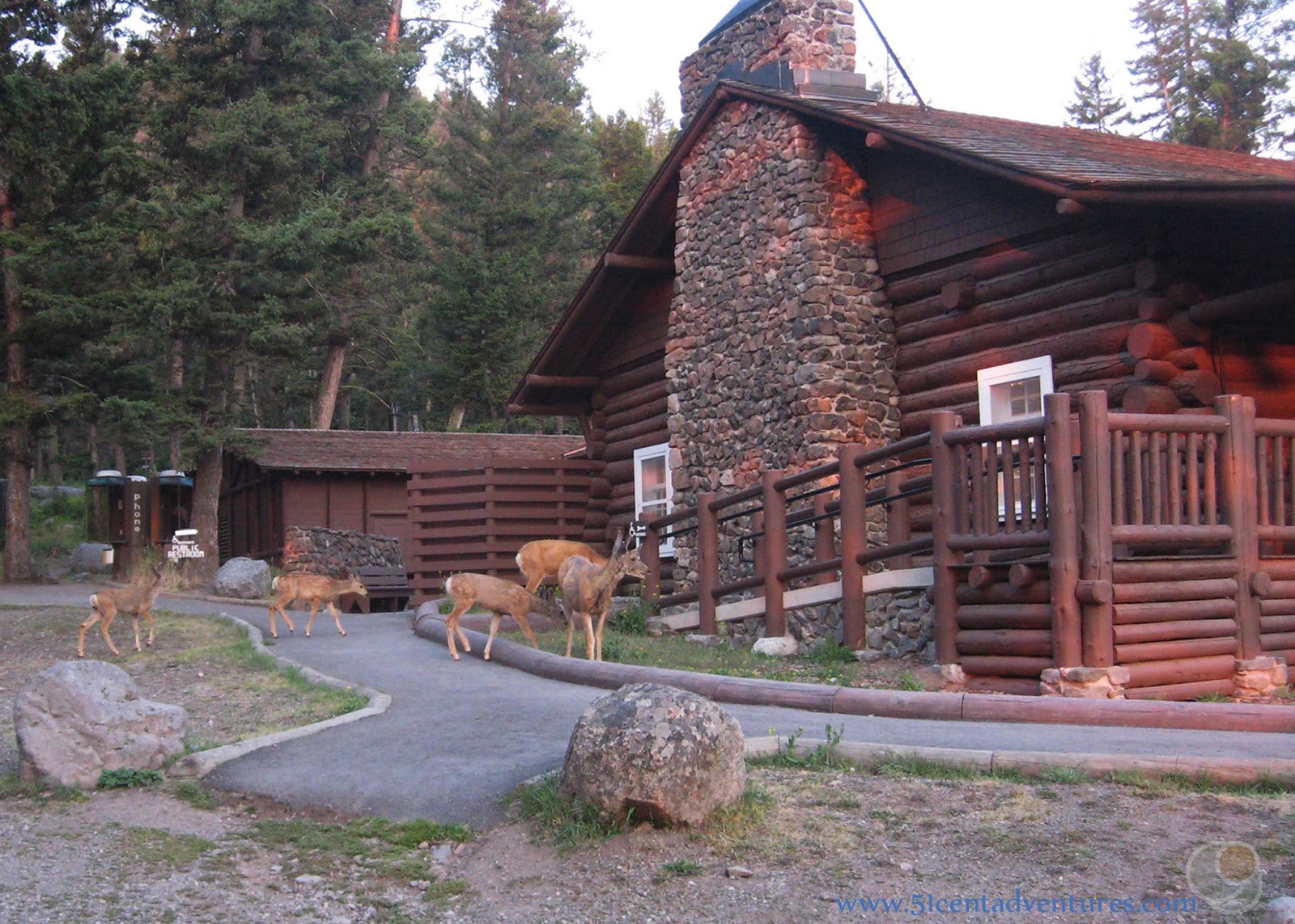 51 Cent Adventures Roosevelt Lodge Yellowstone National Park