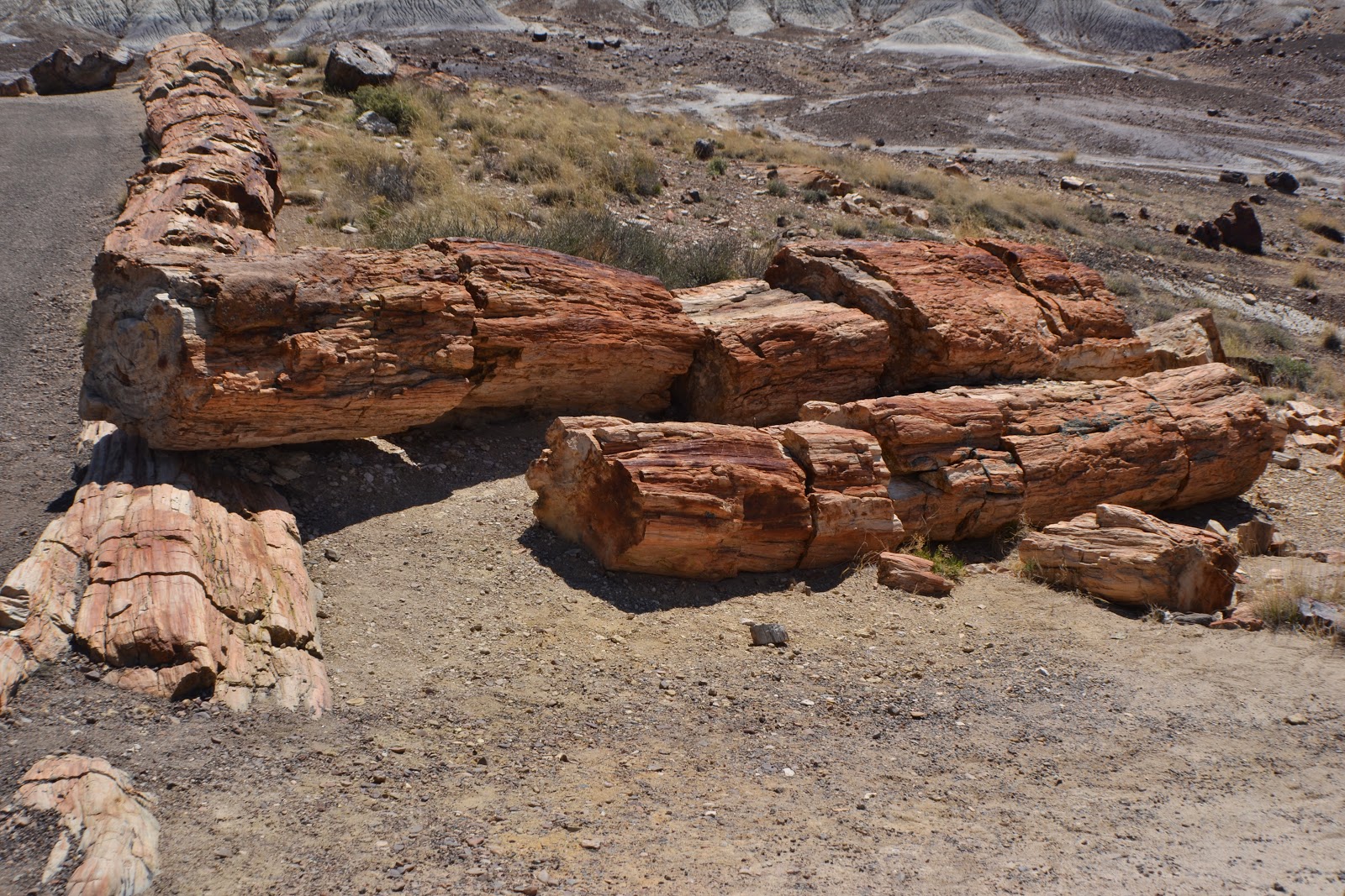 Both visitor centers offer maps and educational information about the park. No Bad Days RVing Petrified Forest National Park