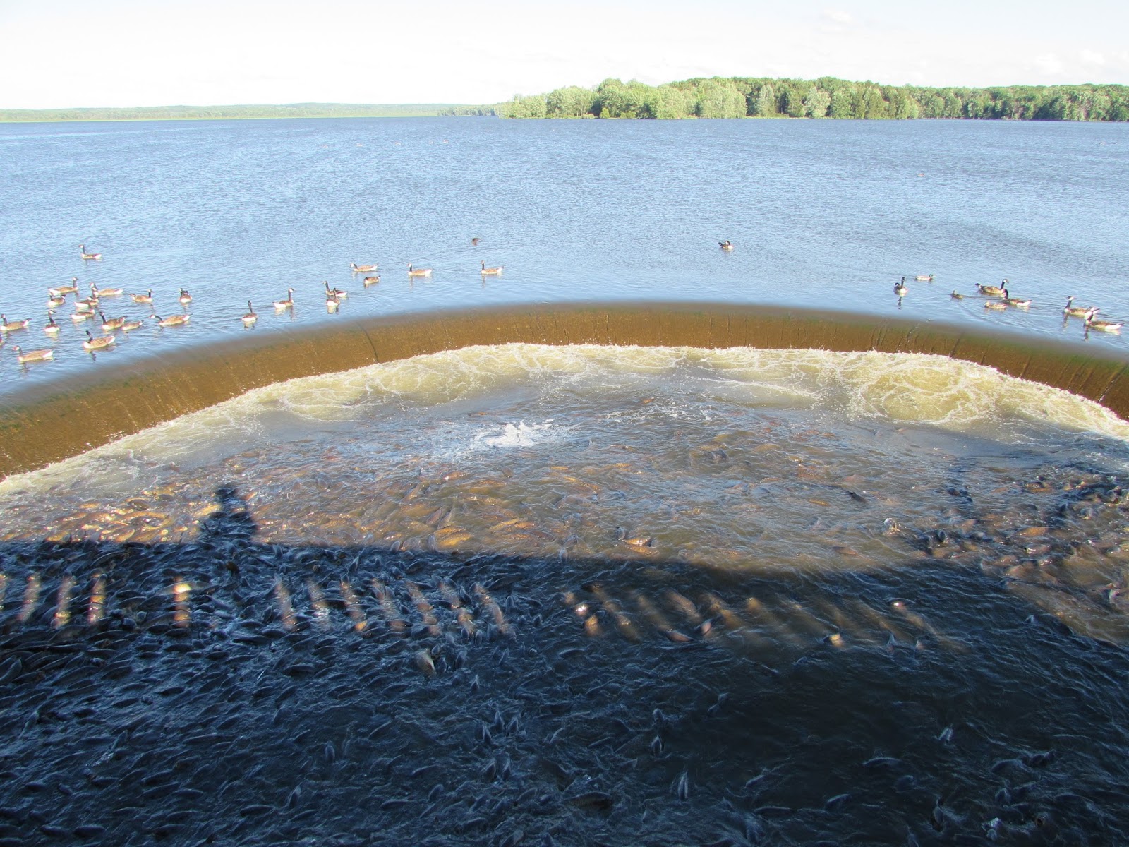 But the devil and his minions control your fate. Conneaut Lake Park Trip Report, June 2017 Coaster Talk No BS Zone