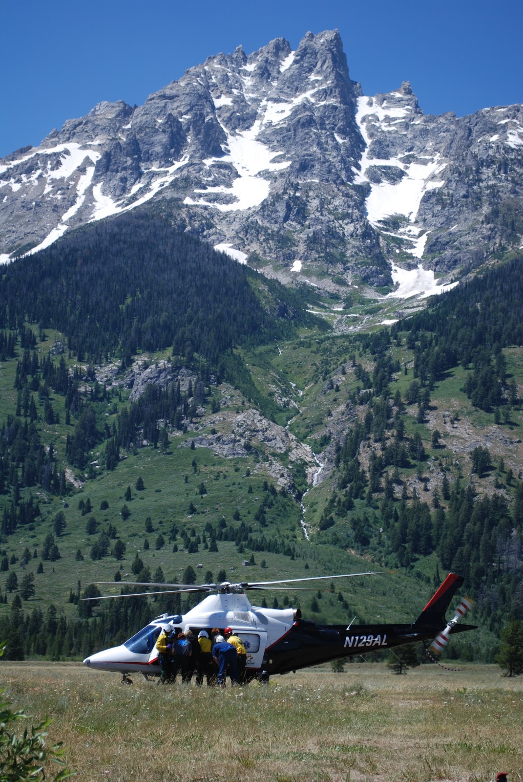The new film “animal trails: Grand Teton National Park News Releases Critically Injured Hiker