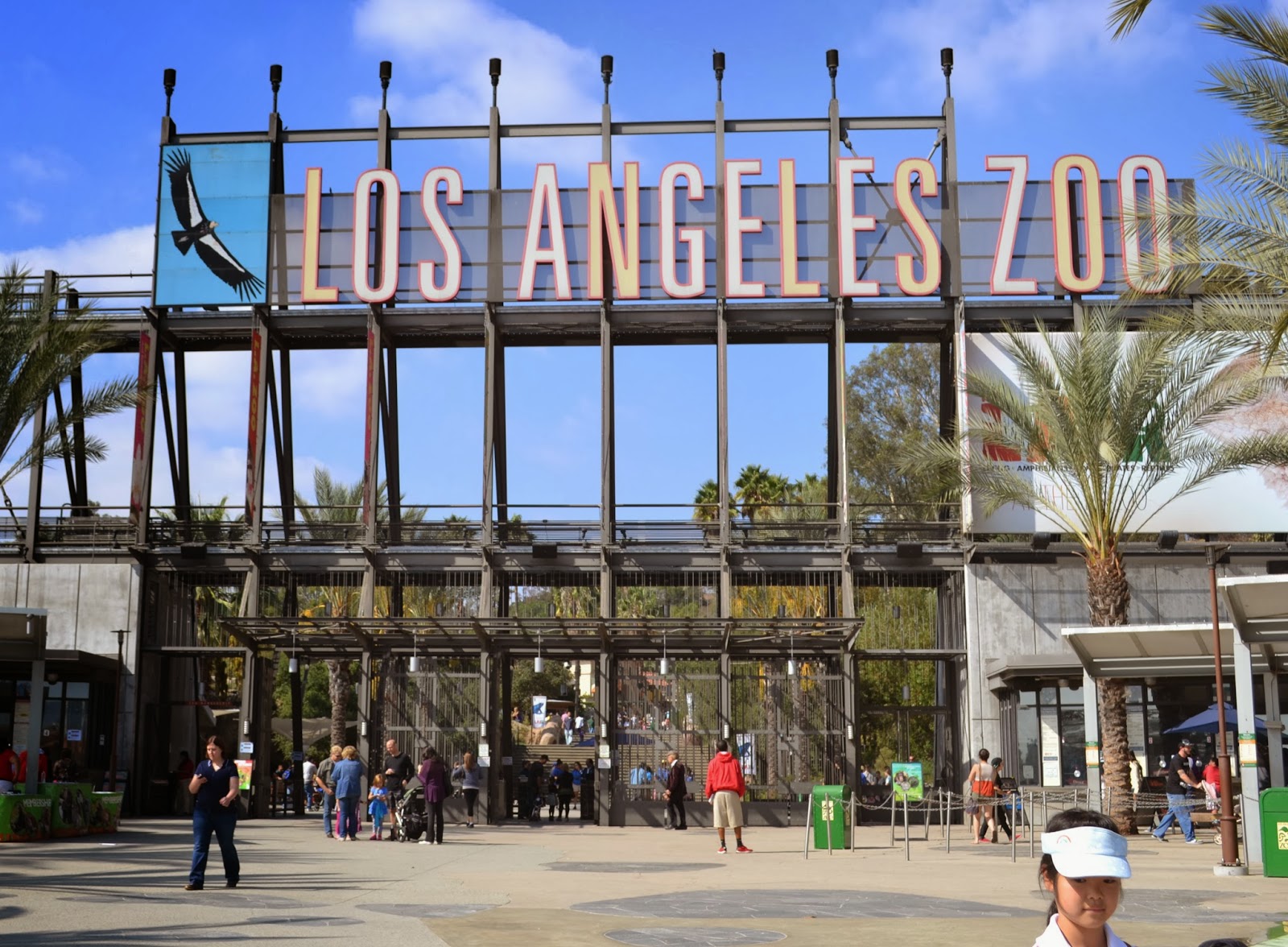 Zoo download buy tickets become a member connect with us sign up for promotions, event information, an insider’s look into the lives of our zoo dwellers and much more. Do Tell, Anabel The Los Angeles Zoo