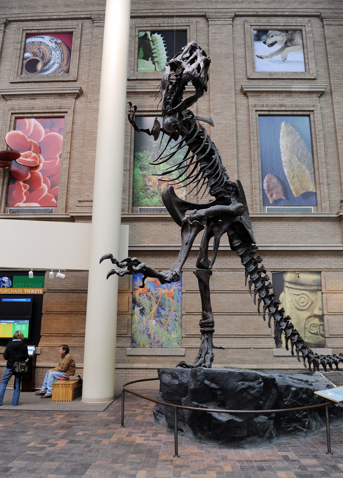 Earth's comeback story thru dec. Tour America's History Denver Museum of Nature and Science