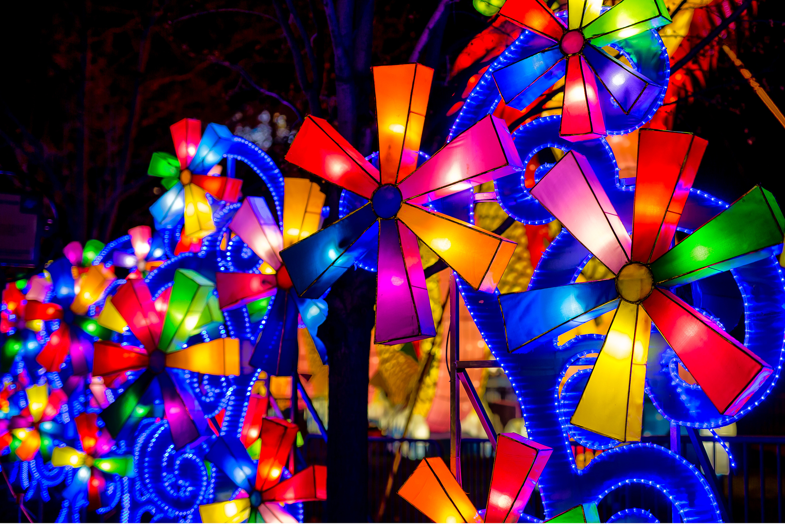 The festival runs until 11pm. These Images Of Franklin Square's Chinese Lantern Festival Are Like