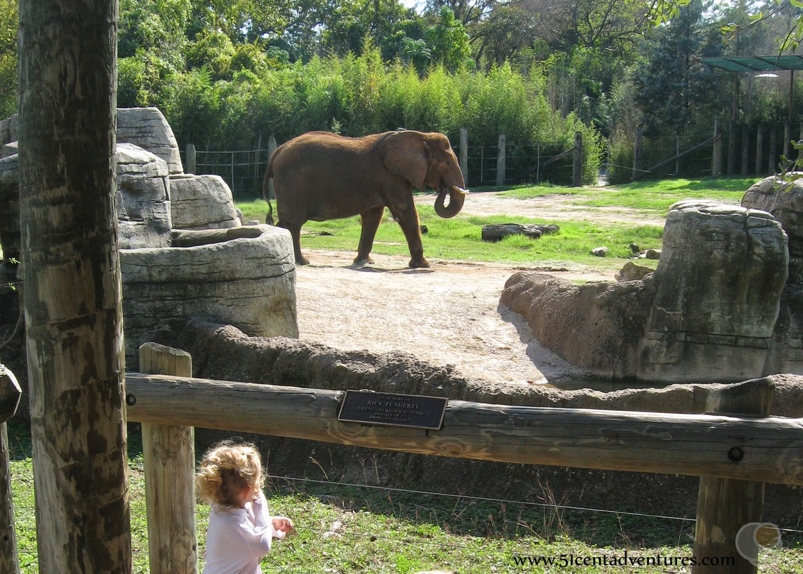 Web cameron park zoo is open daily except thanksgiving day, christmas day, and new year’s day. 51 Cent Adventures Cameron Park Zoo Waco, Texas