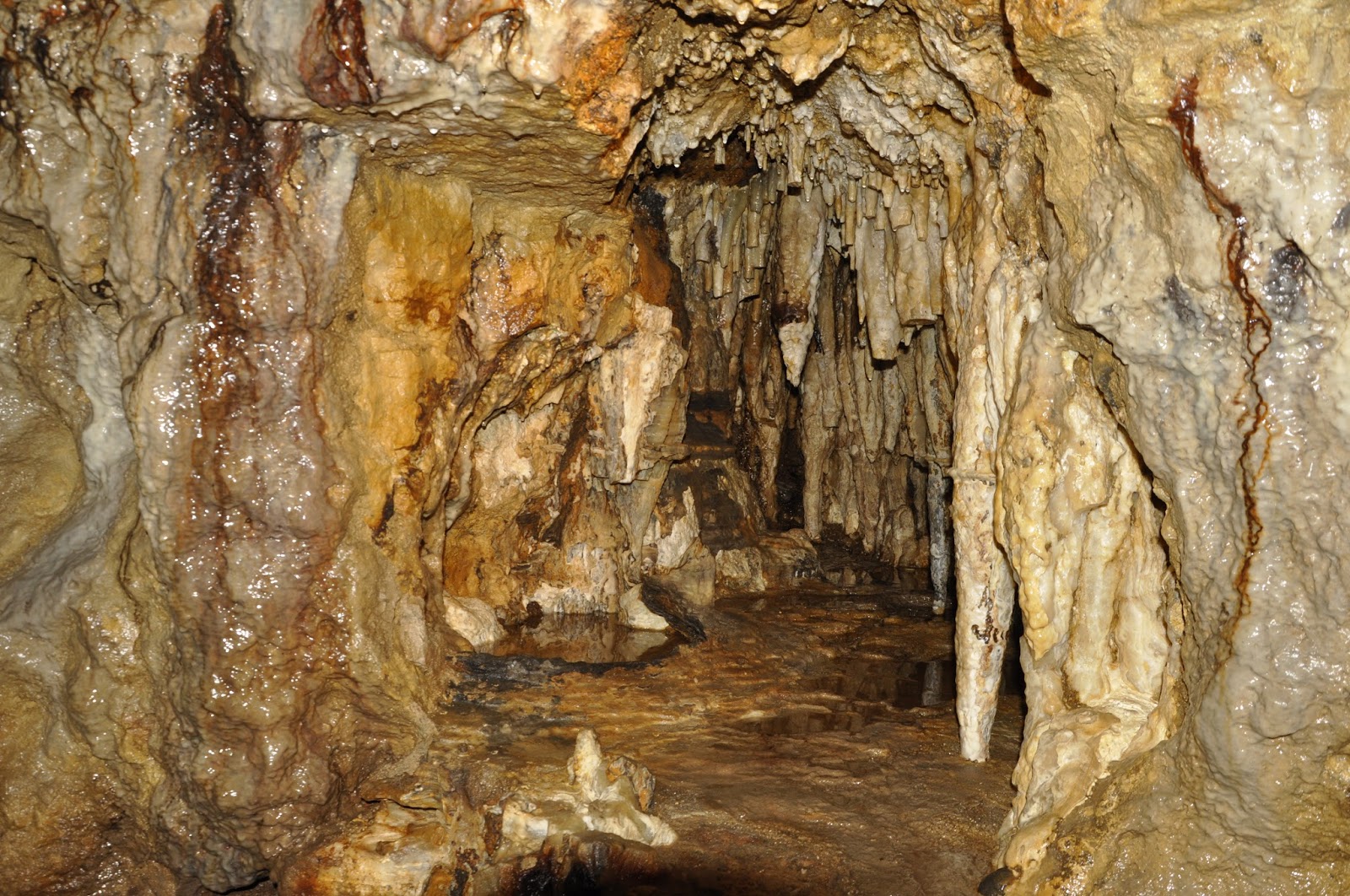 Cave of the mounds, a naturally formed limestone cave near the blue mounds in wisconsin, is named after the two hills in the vicinity known as the blue mounds. Milwaukee Area Parks Cave of the Mounds Day Trip Discovery Days