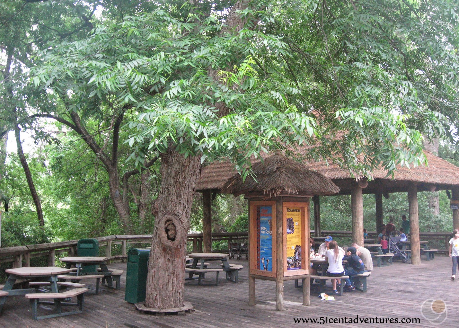 59,832 likes · 731 talking about this · 201,885 were here. 51 Cent Adventures Cameron Park Zoo Waco, Texas