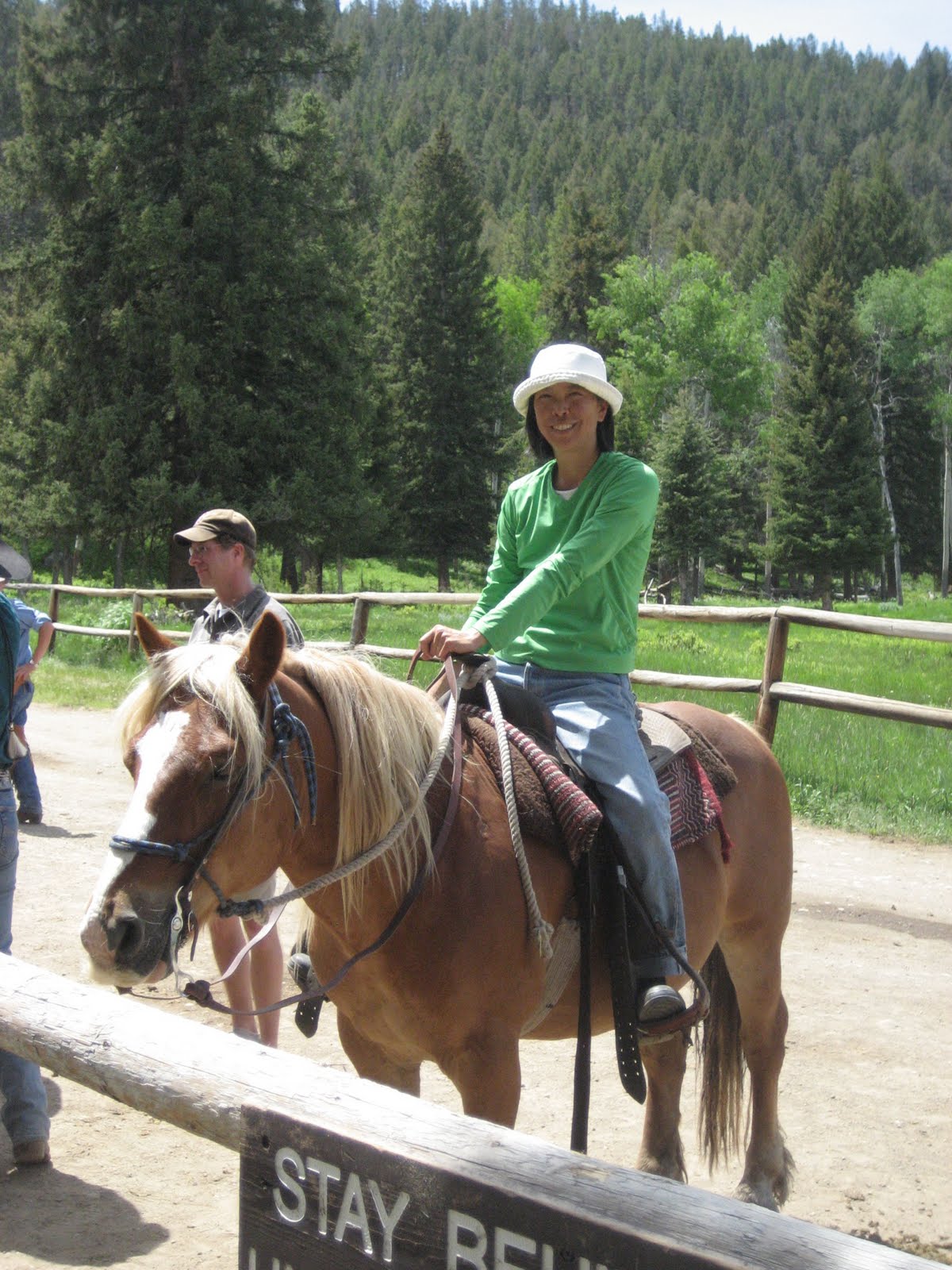 The old gardiner road (which bypasses the road section damaged by the flood waters) is scheduled to open to general public travel no later than november 1st. Day 9 Yellowstone NP to Helena, MT