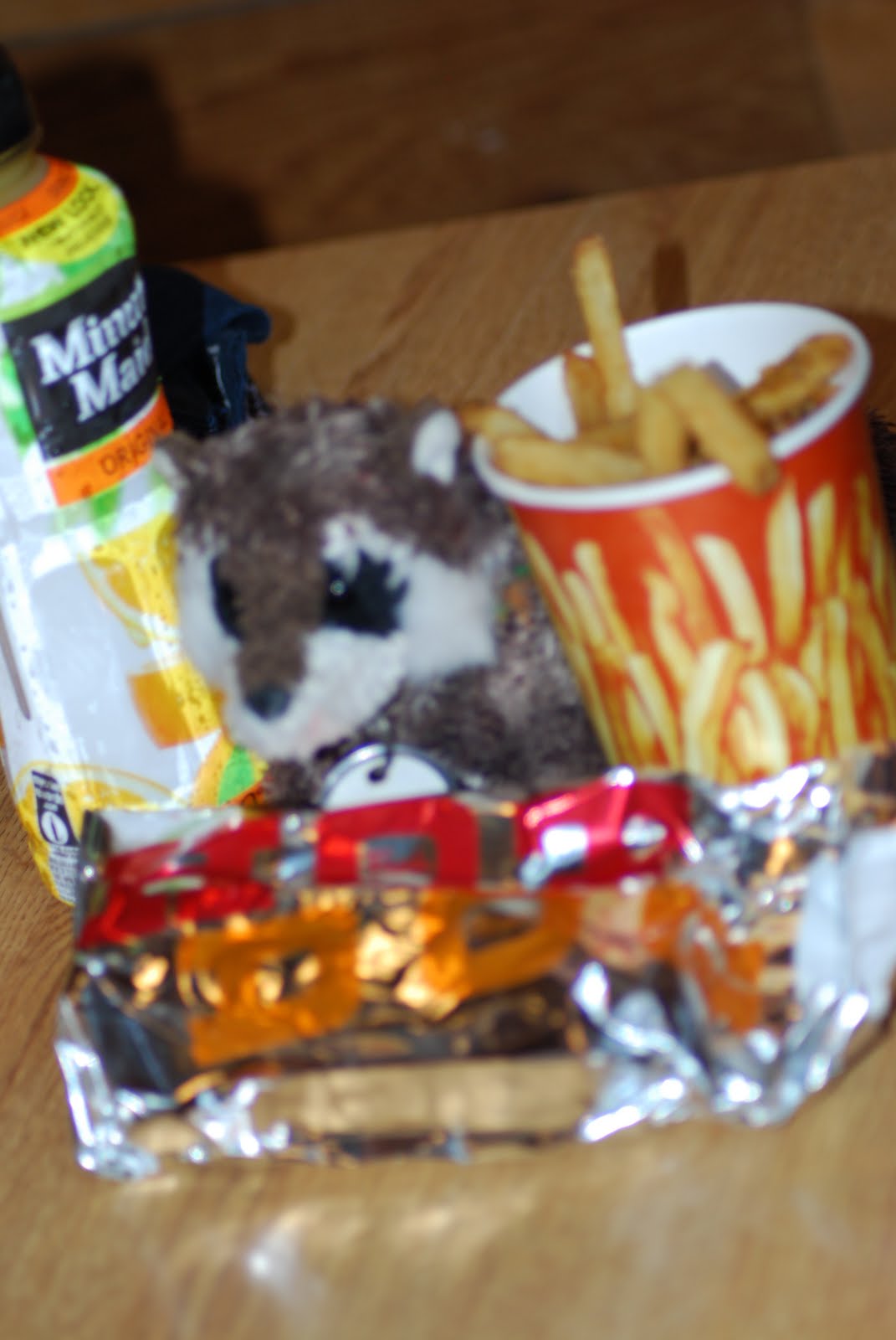 Can i bring my own food with me to the zoo? Lizzy and Locksley Franklin Park Zoo