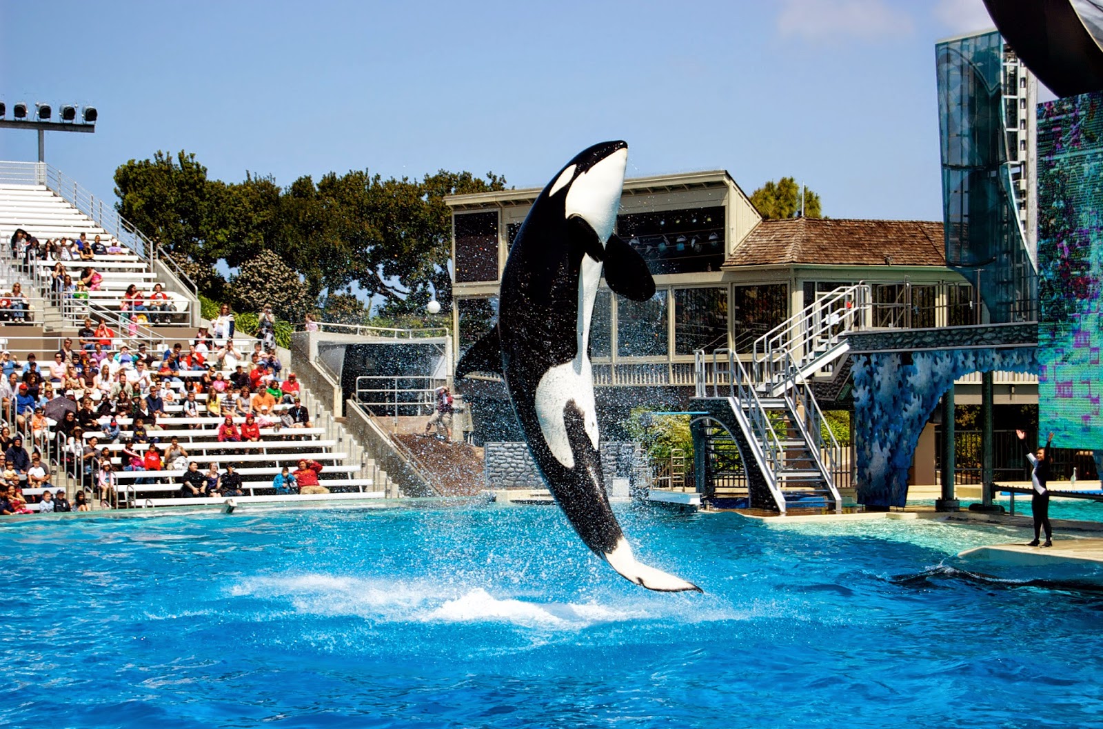 Take a lap on san. Sea World California in San Diego, CA, USA Tourist Destinations